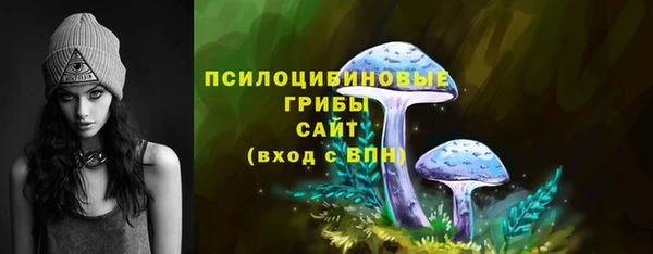apvp Алзамай