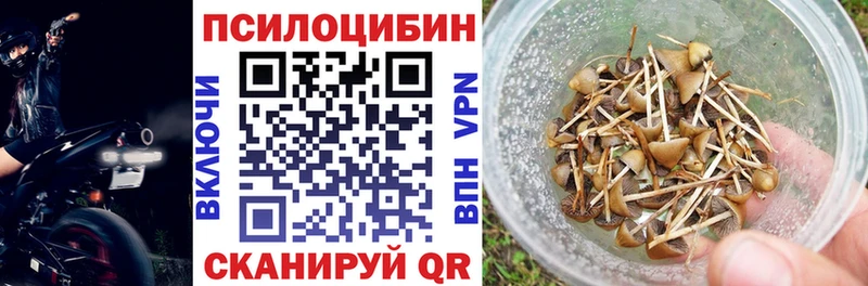 мориарти телеграм  Трёхгорный  Псилоцибиновые грибы GOLDEN TEACHER 